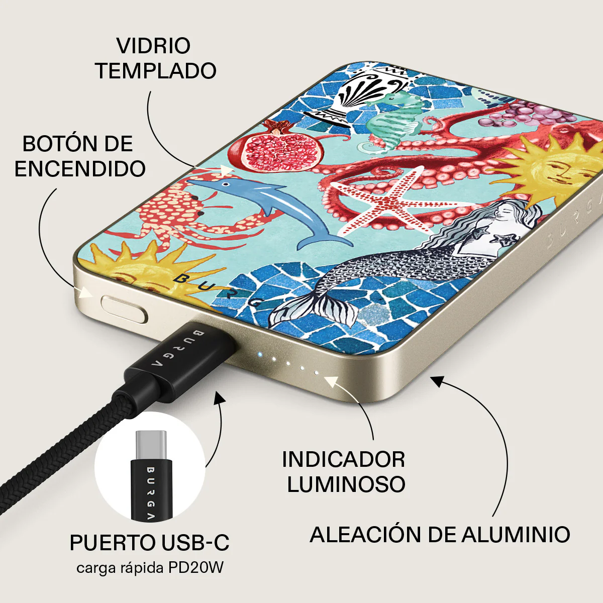 Miniatura 10