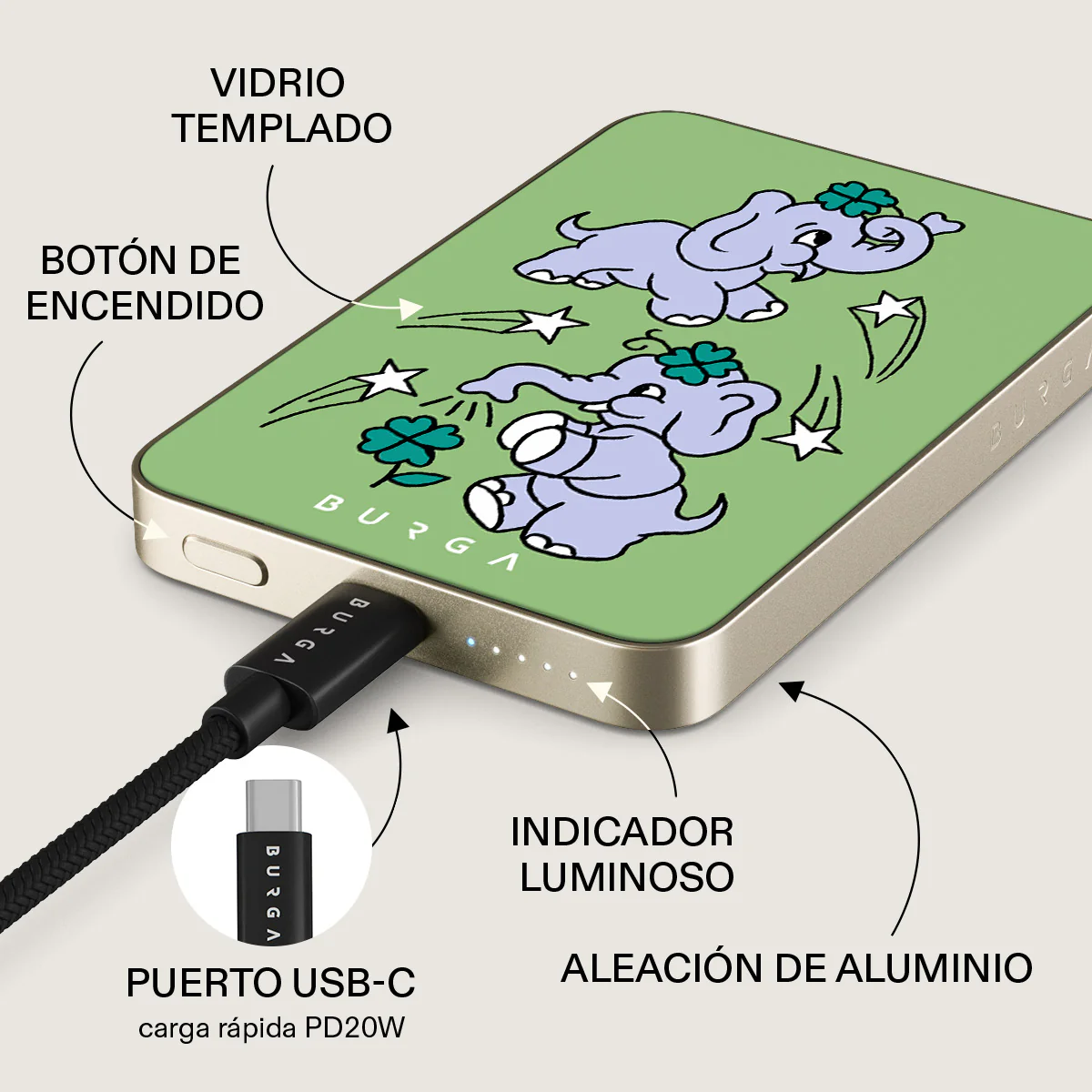 Miniatura 10