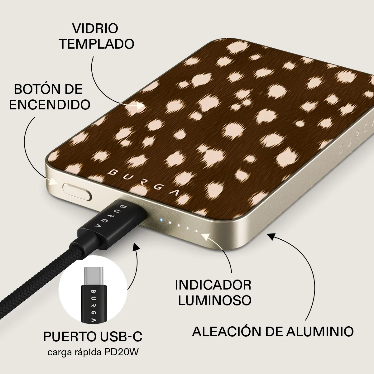 Miniatura 10