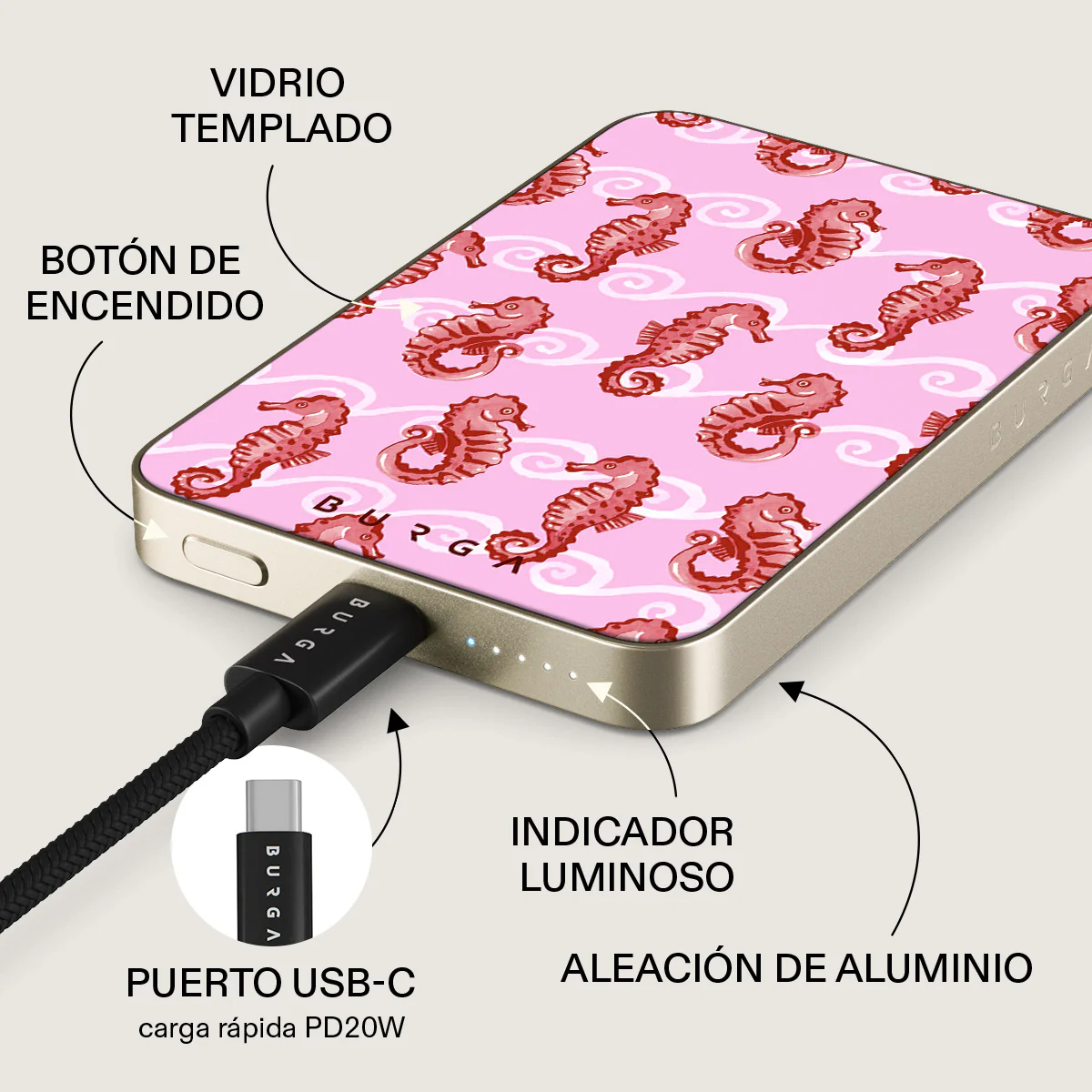 Miniatura 10