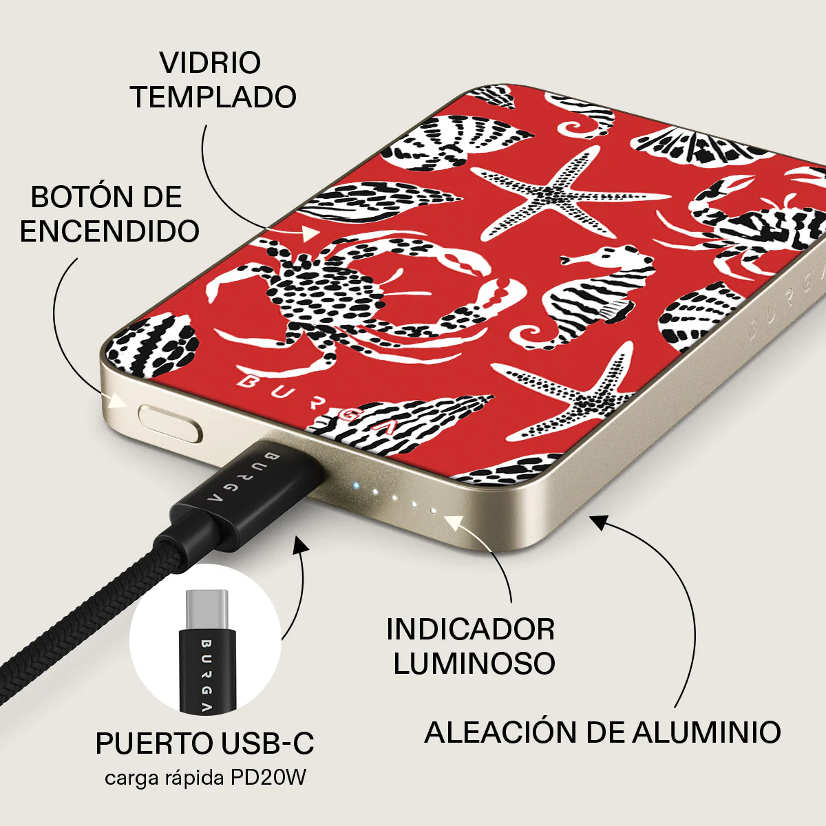 Miniatura 10