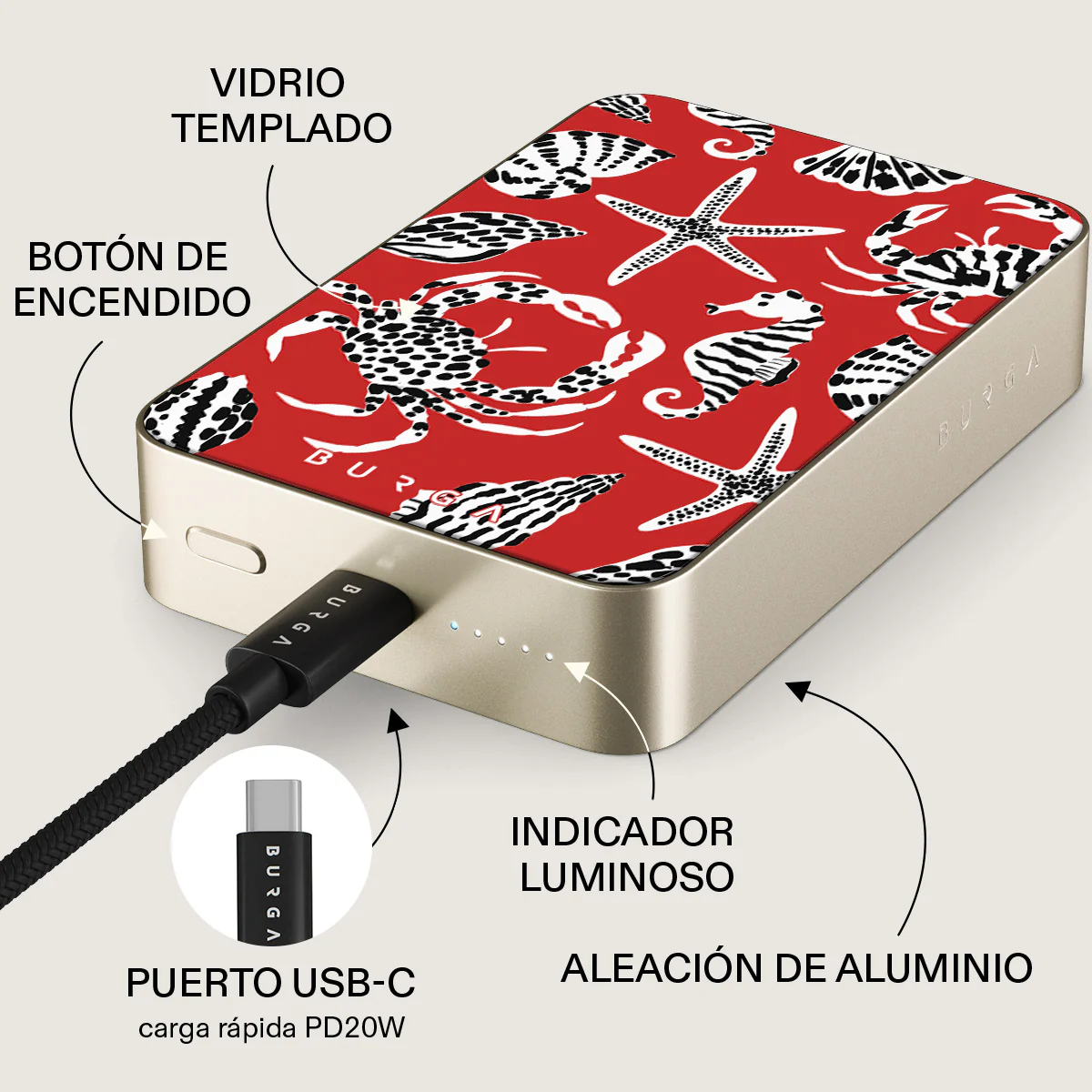 Miniatura 40