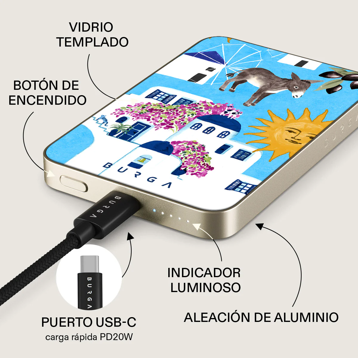 Miniatura 10