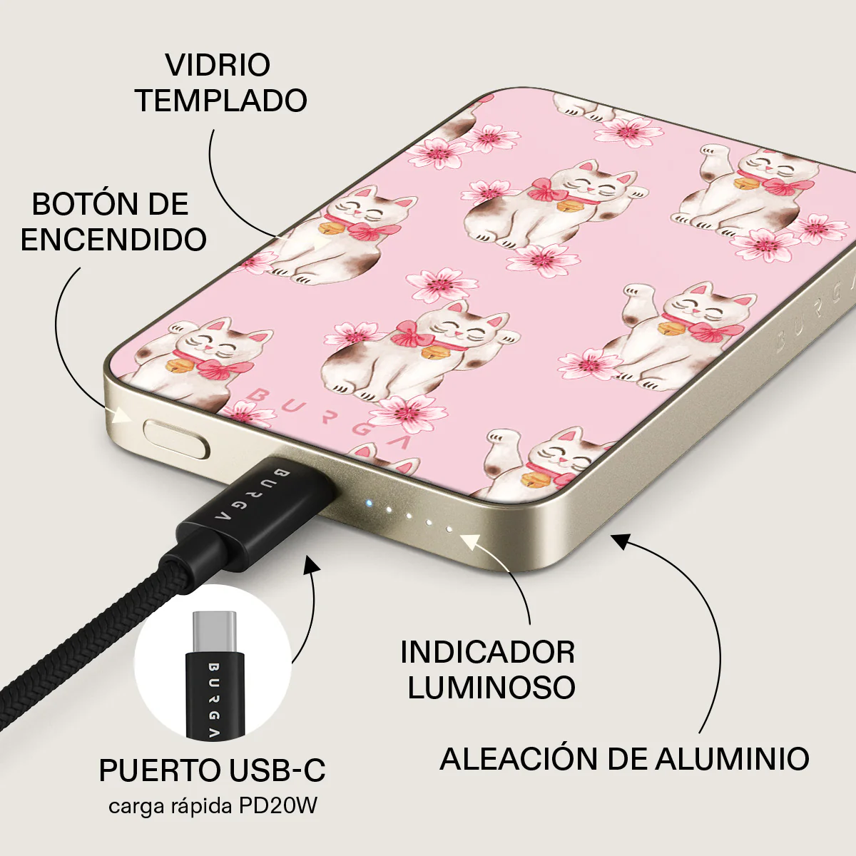 Miniatura 10
